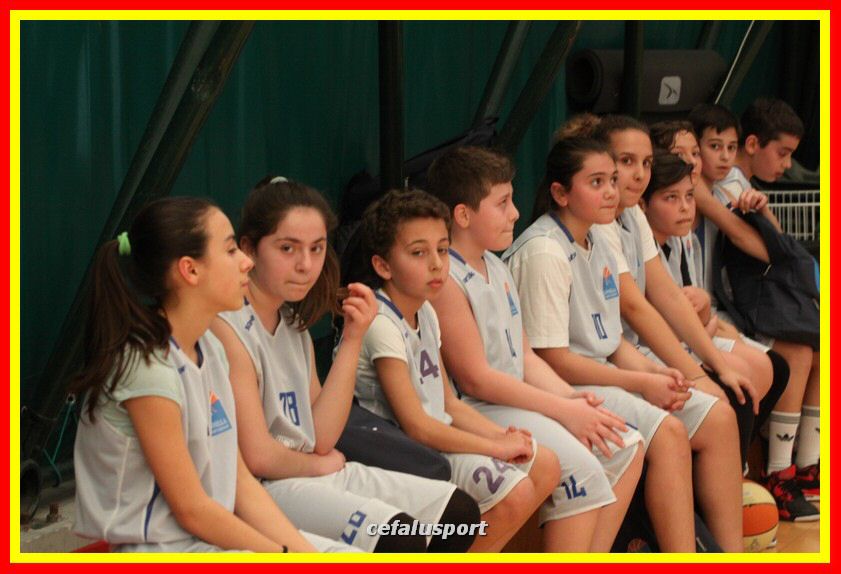 170317 basket 100_tn.jpg